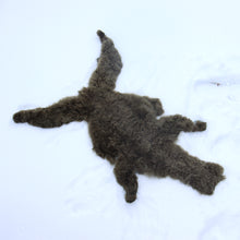 Ladda upp bild till gallerivisning, Baby alpacka hud