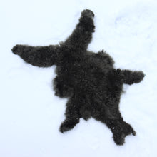 Ladda upp bild till gallerivisning, Baby alpacka hud