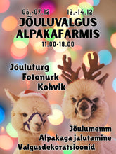 Ladda upp bild till gallerivisning, Kingituse üleandmine Jõulumemme poolt meie Jõuluüritusel!