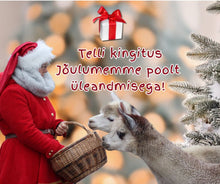Ladda upp bild till gallerivisning, Kingituse üleandmine Jõulumemme poolt meie Jõuluüritusel!