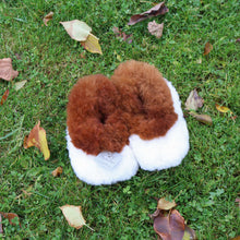 Ladda upp bild till gallerivisning, alpakanahast sussid