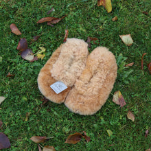 Ladda upp bild till gallerivisning, alpakanahast sussid