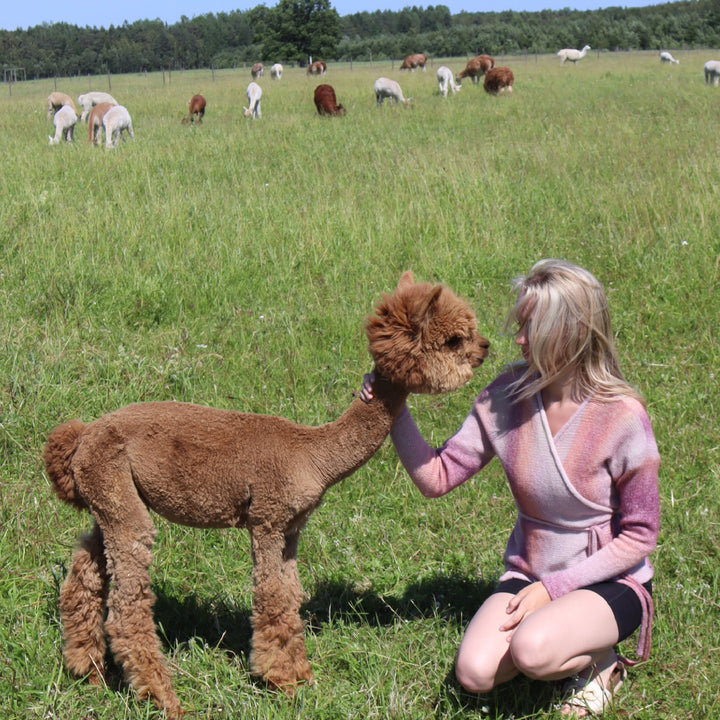 Õrn hõlmik kampsun